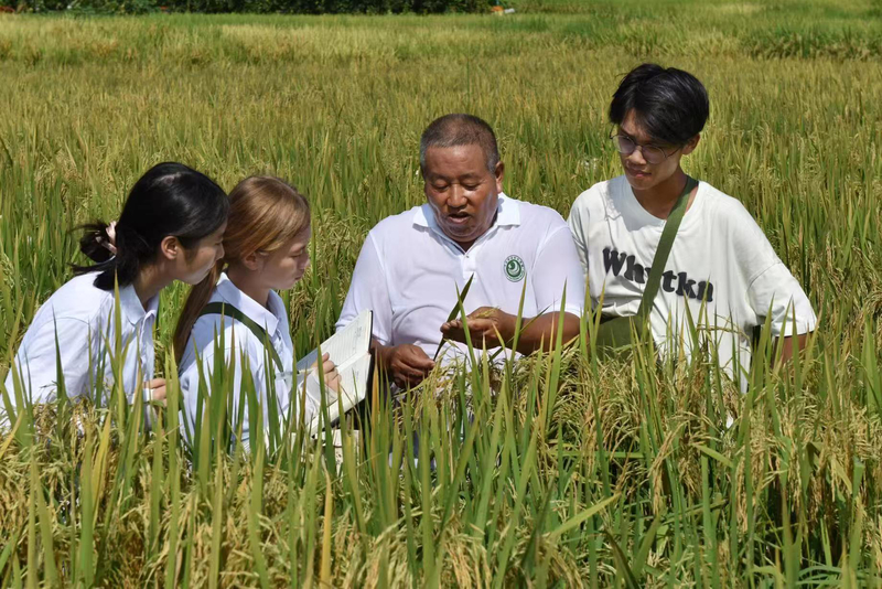 1759213505928033069.jpg 2.jpg