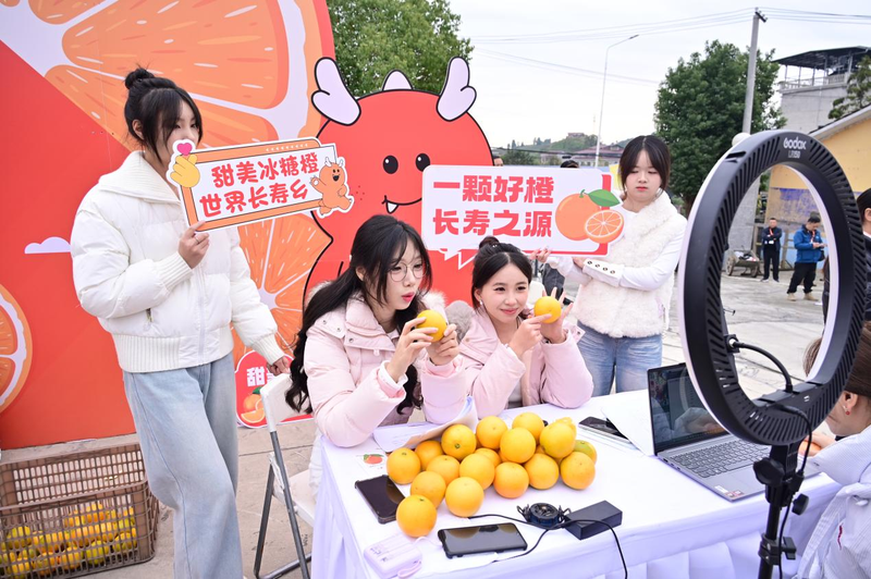 1764064886237083088.png 图片1.png